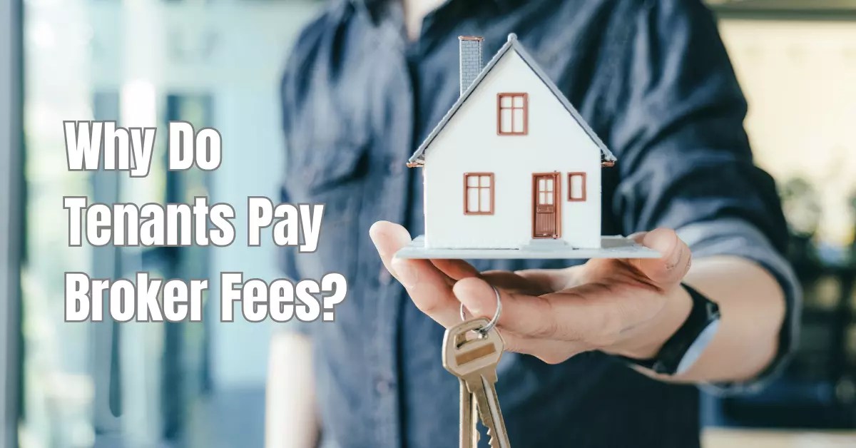 The hidden costs of renting Why Do Tenants Pay Broker Fees?