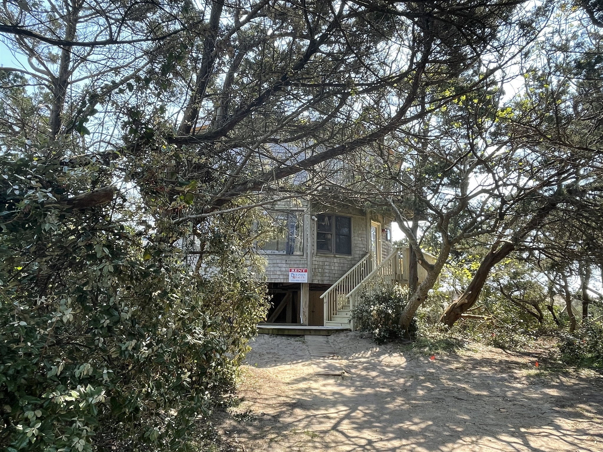 DUNE ROSE Dolphin Realty, Inc.