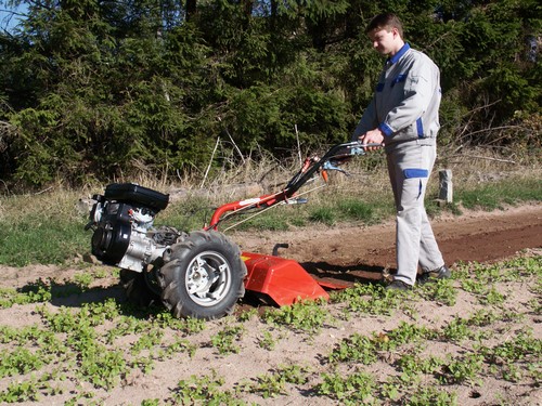 Gartenfräse Mittel, 68 Cm Arbeitsbreite | Rentas Mietgeräte, Werkzeugvermietung, Maschinenverleih Und Geräteverleih