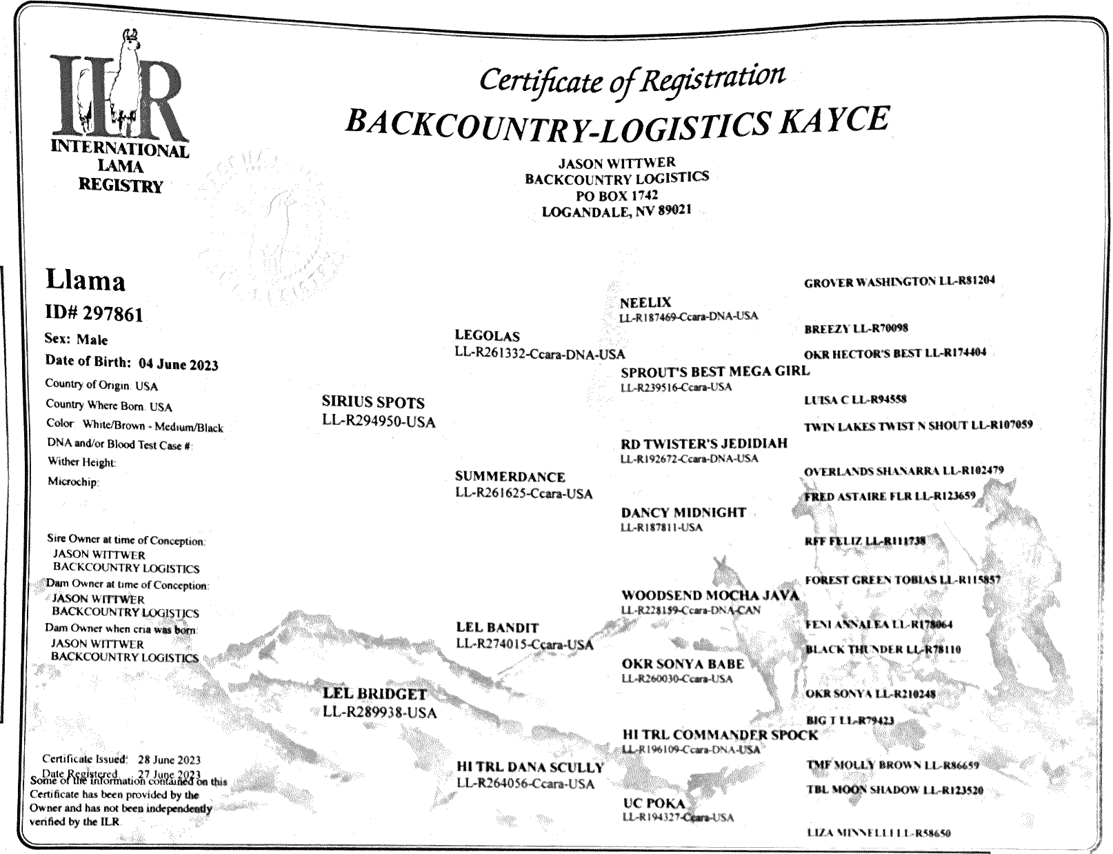 Kayce SOLD Backcountry Logistics