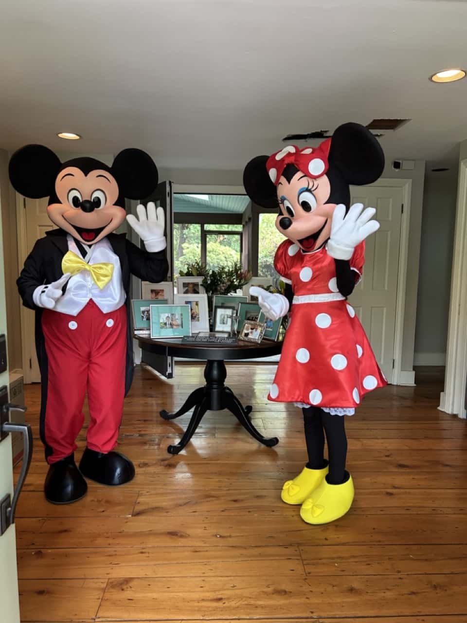 The Minnie Mouse Experience ⸱ Rent Party Characters