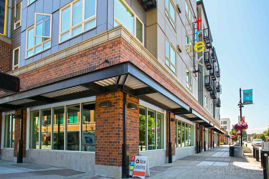 TREK Apartments Auburn, WA 98002