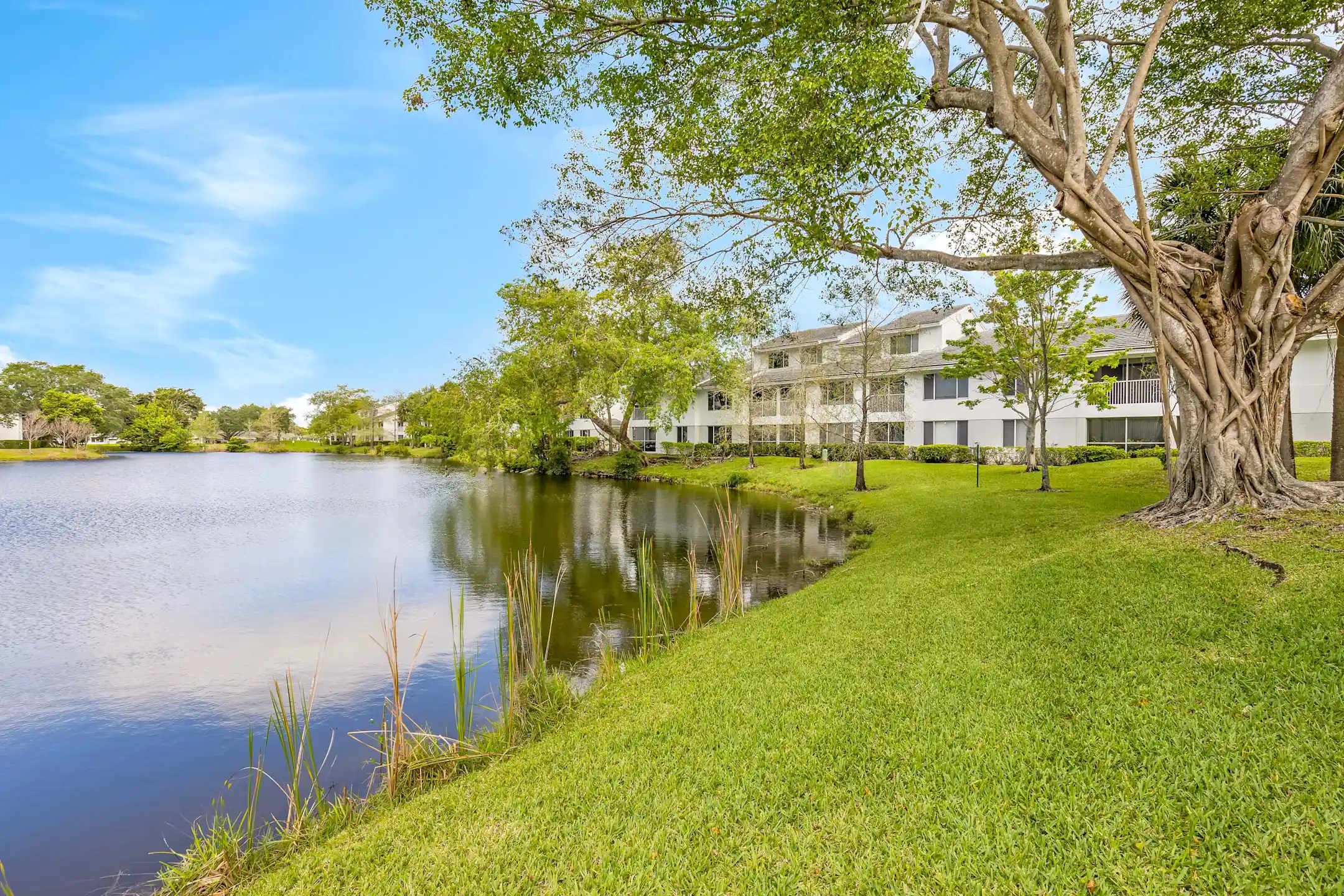 Lakepointe at Jacaranda Apartments 1171 Lakepointe Lndg Plantation