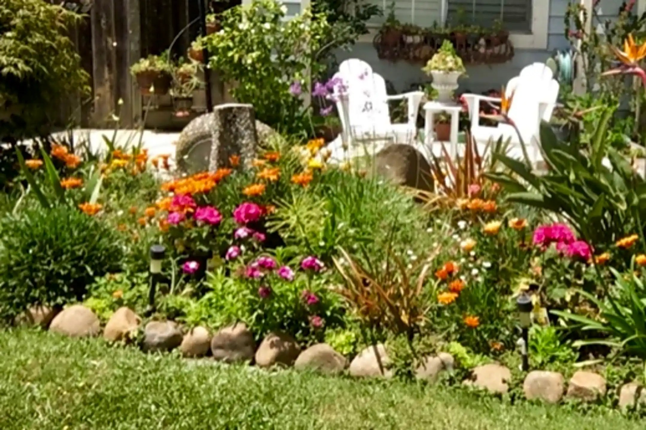 8167 La Plaza Cotati, CA Houses for Rent Rent.