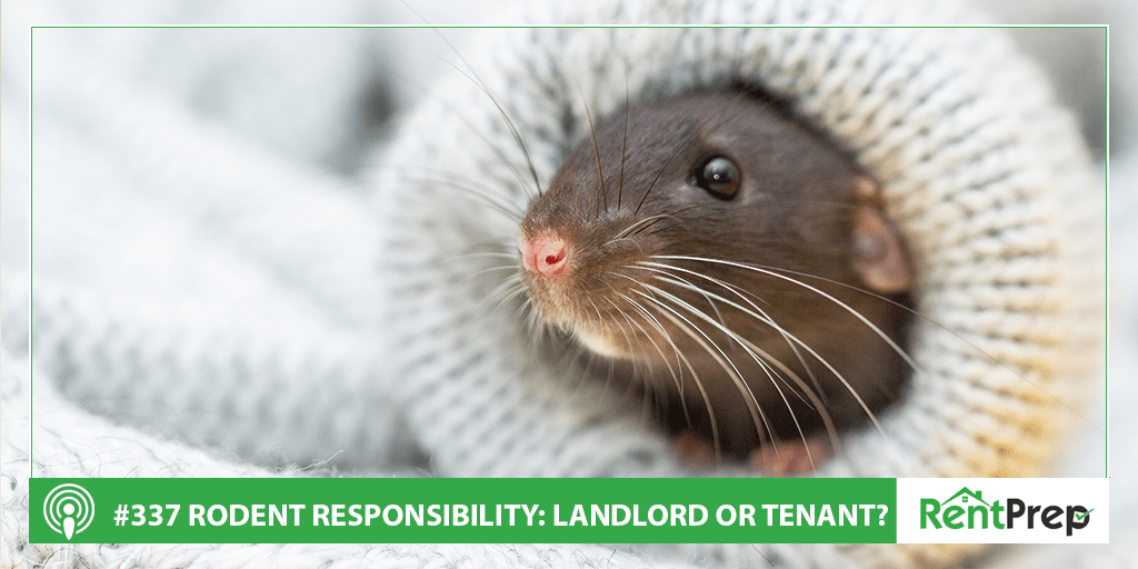 Rodent Responsibility Landlord or Tenant? (Podcast 337) RentPrep
