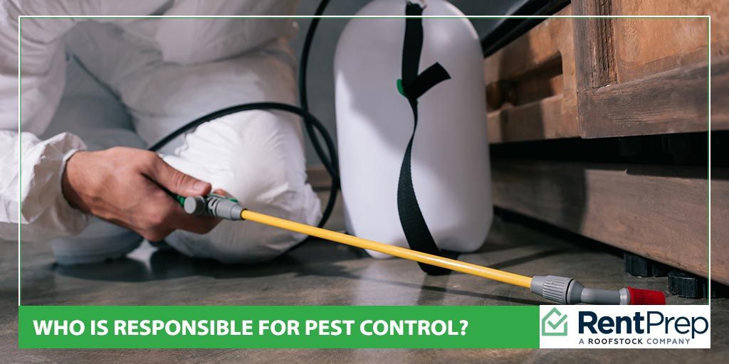 Who Is Responsible for Pest Control, Landlords or Tenants? RentPrep