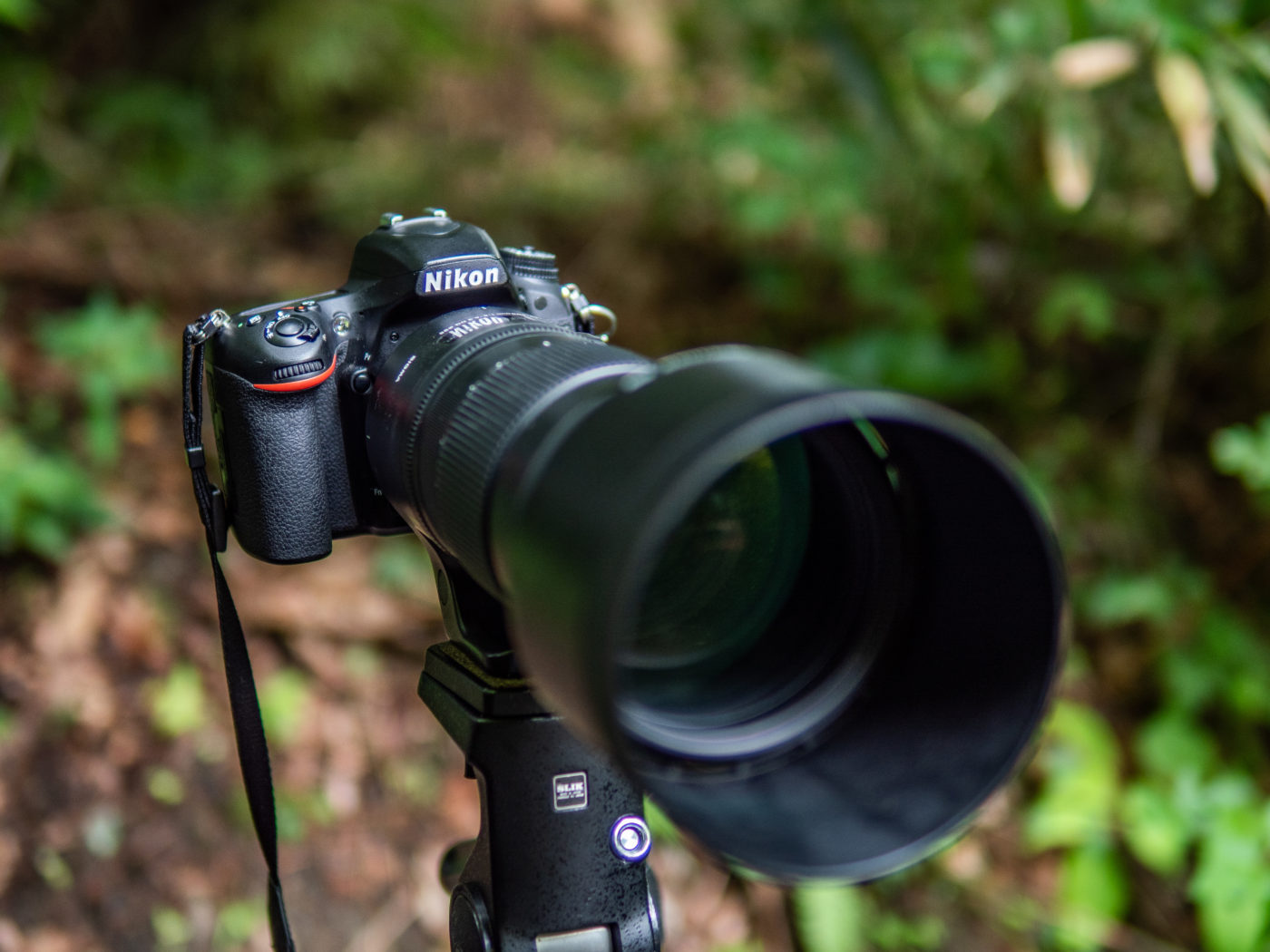 シグマ 150500mm 156.3 超望遠 ズームレンズ Fマウント用 82433 SIGMA カメラ アクセサリー