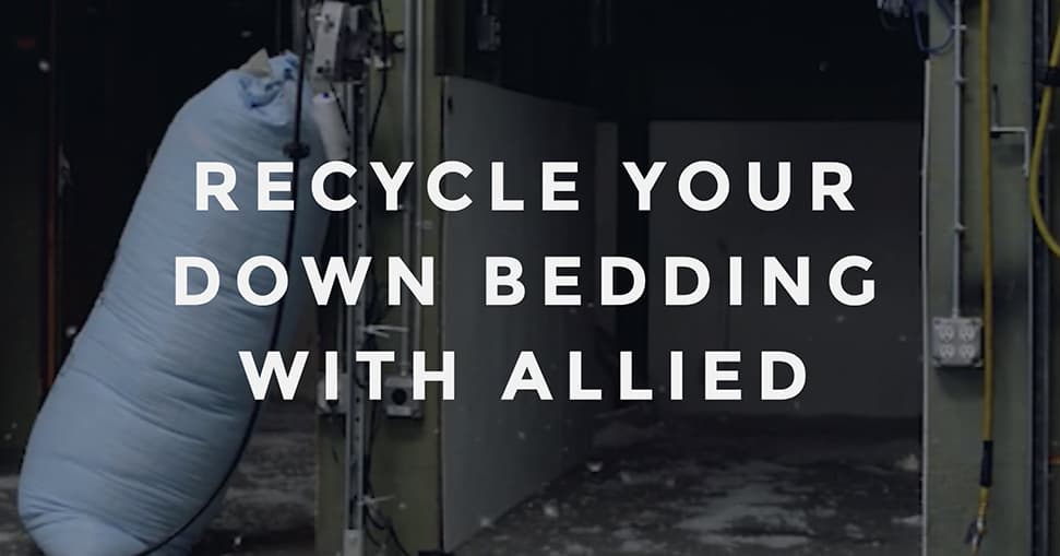 RENUBedding Allied Feather & Down