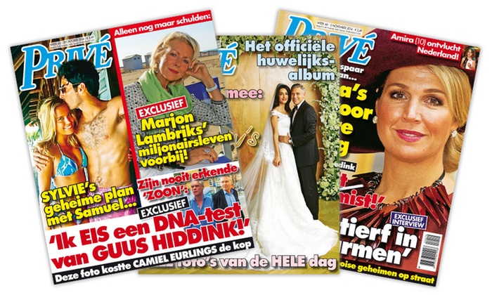 Roddelbladen En Politiek. Privé En Privé – Renzo Verwer, Blogger/Auteur