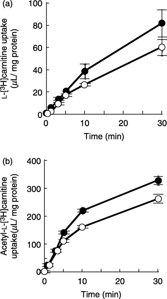 Acetyl LCarnitine Douglas Laboratories Anciens Et Réunions