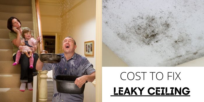 How To Fix A Leak In My Ceiling | Shelly Lighting