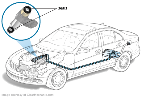 Fuel Injector Seals