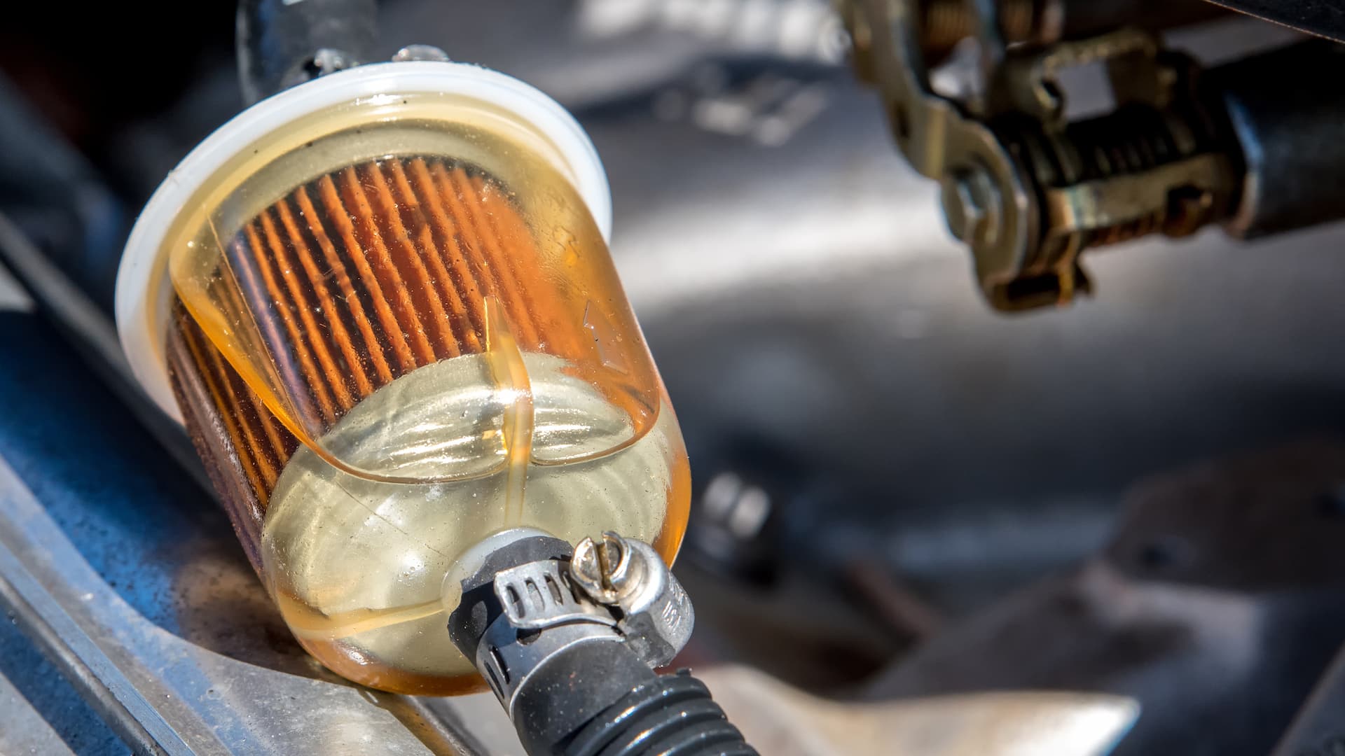 Fuel Filter Replacement Cost: What You Need To Know | AutoNation Mobile