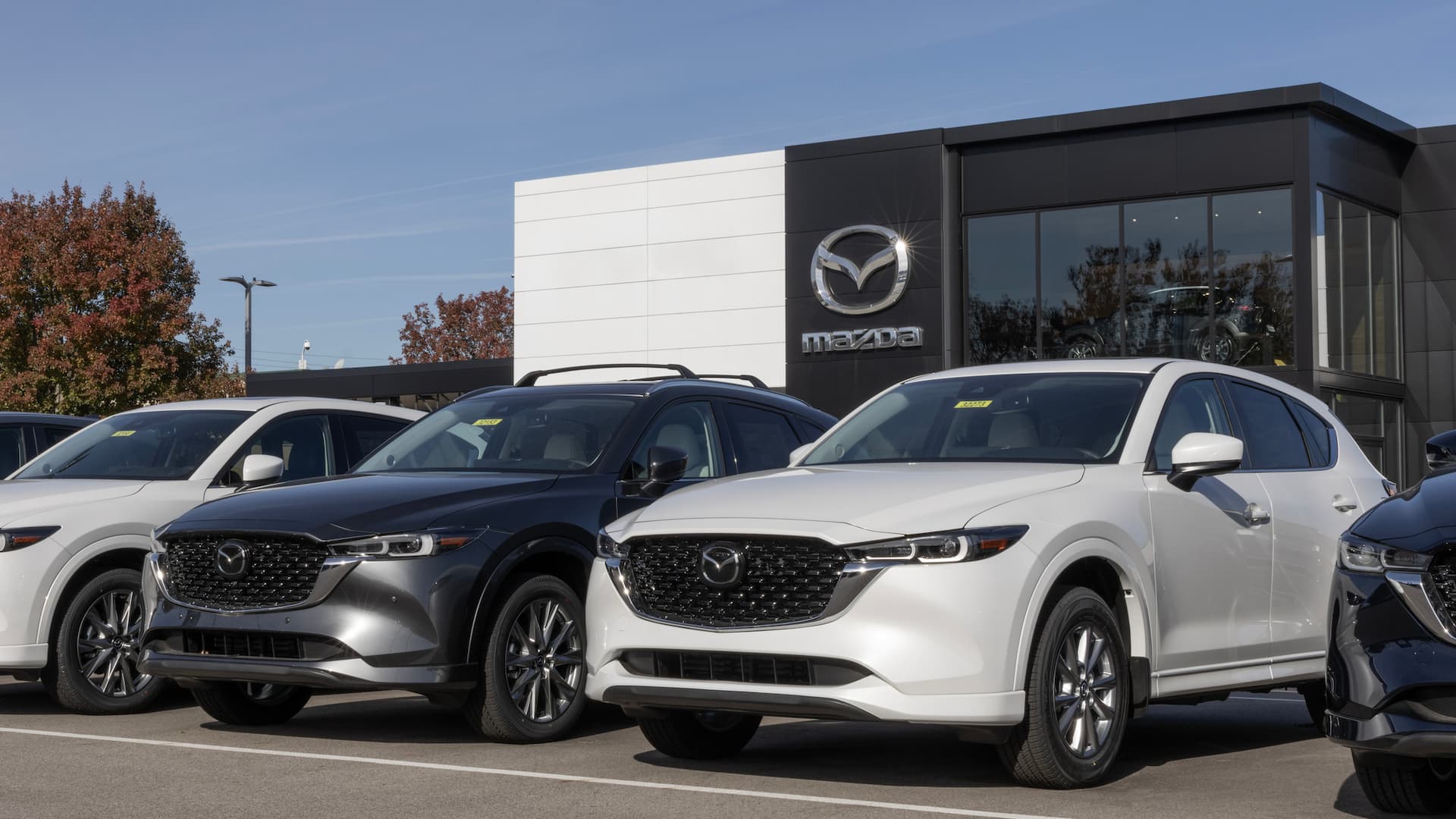 Is Mazda a Reliable Brand? (Repair Costs, Issues & More) | AutoNation