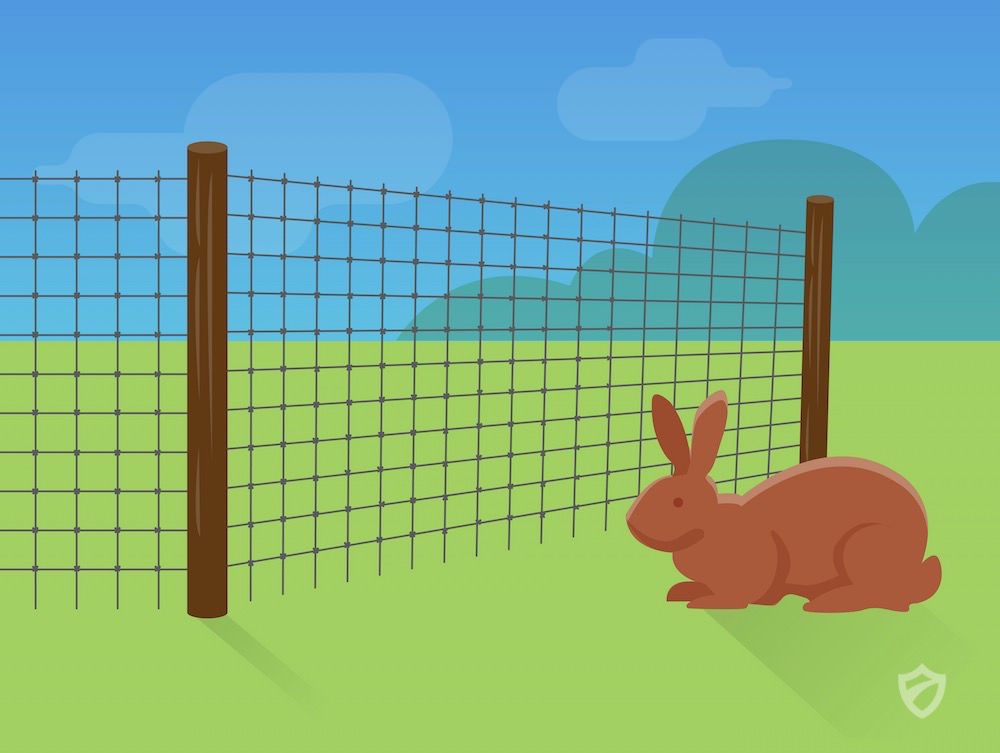 Effective Rabbit Deterrents That Won't Harm Your Pets Rabbits