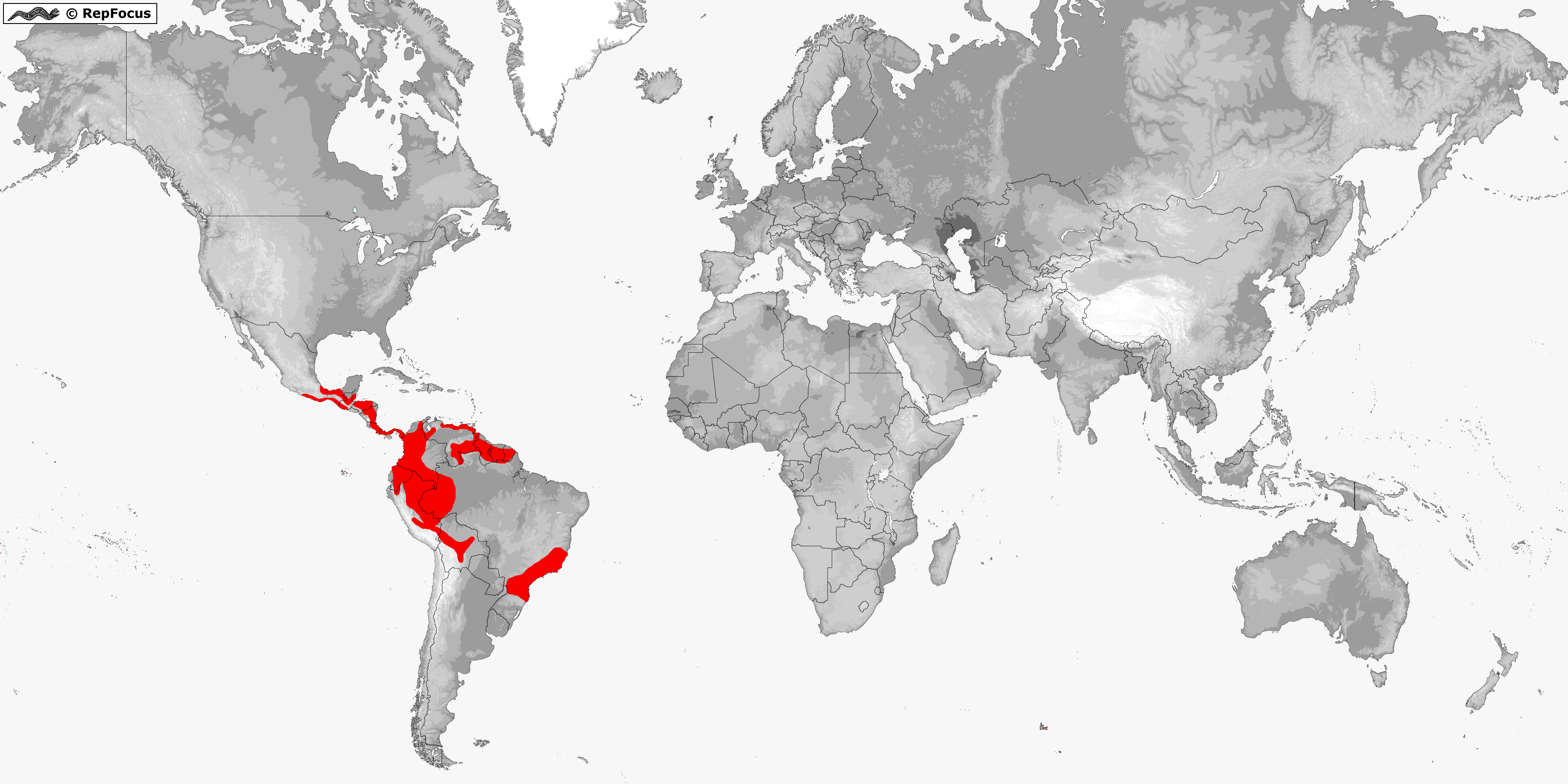 Centrolenidae (Glass Frogs) distribution / RepFocus