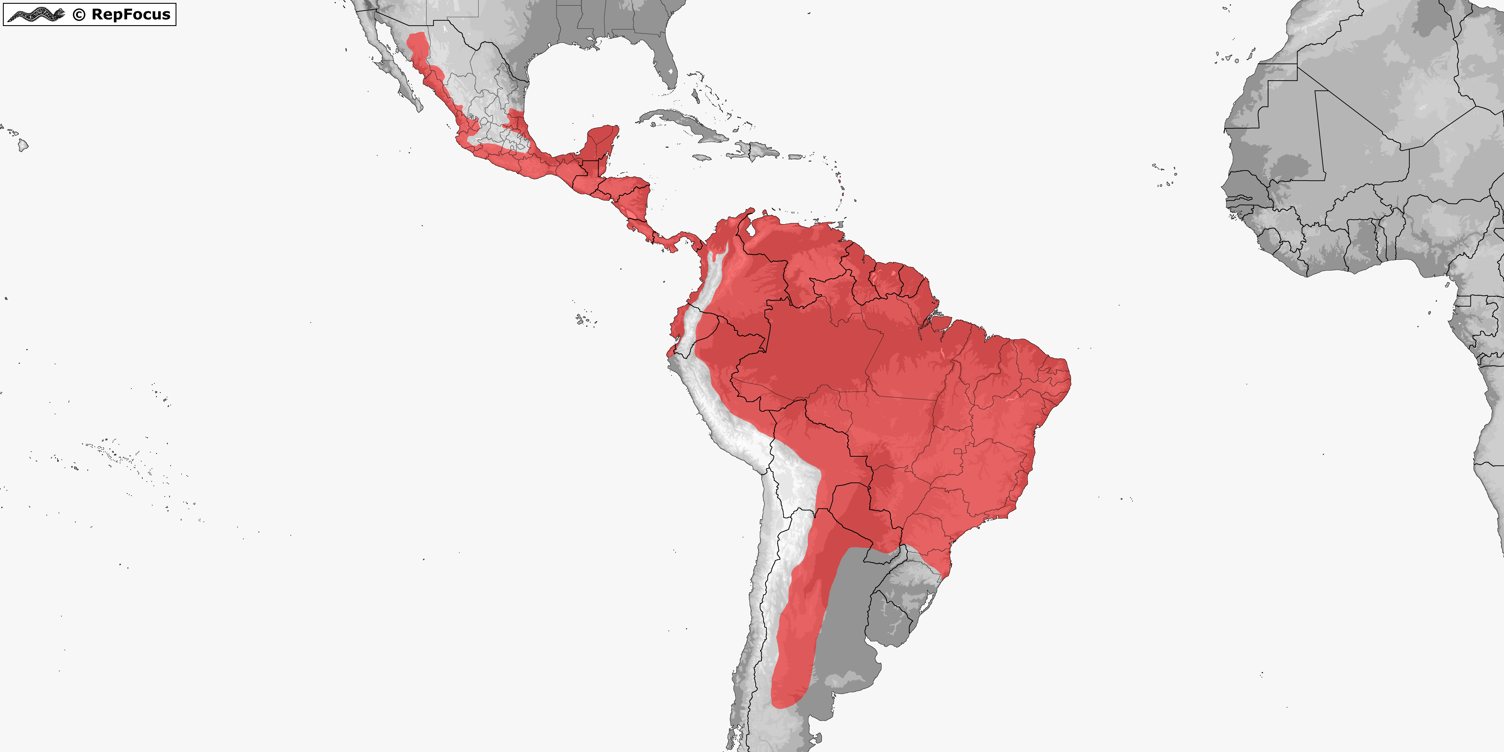 Distribution of Boa / RepFocus