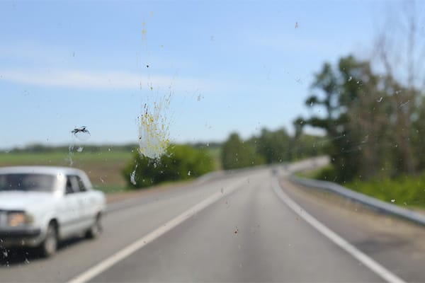 New app helps identified splattered bugs on your windshield Advantage