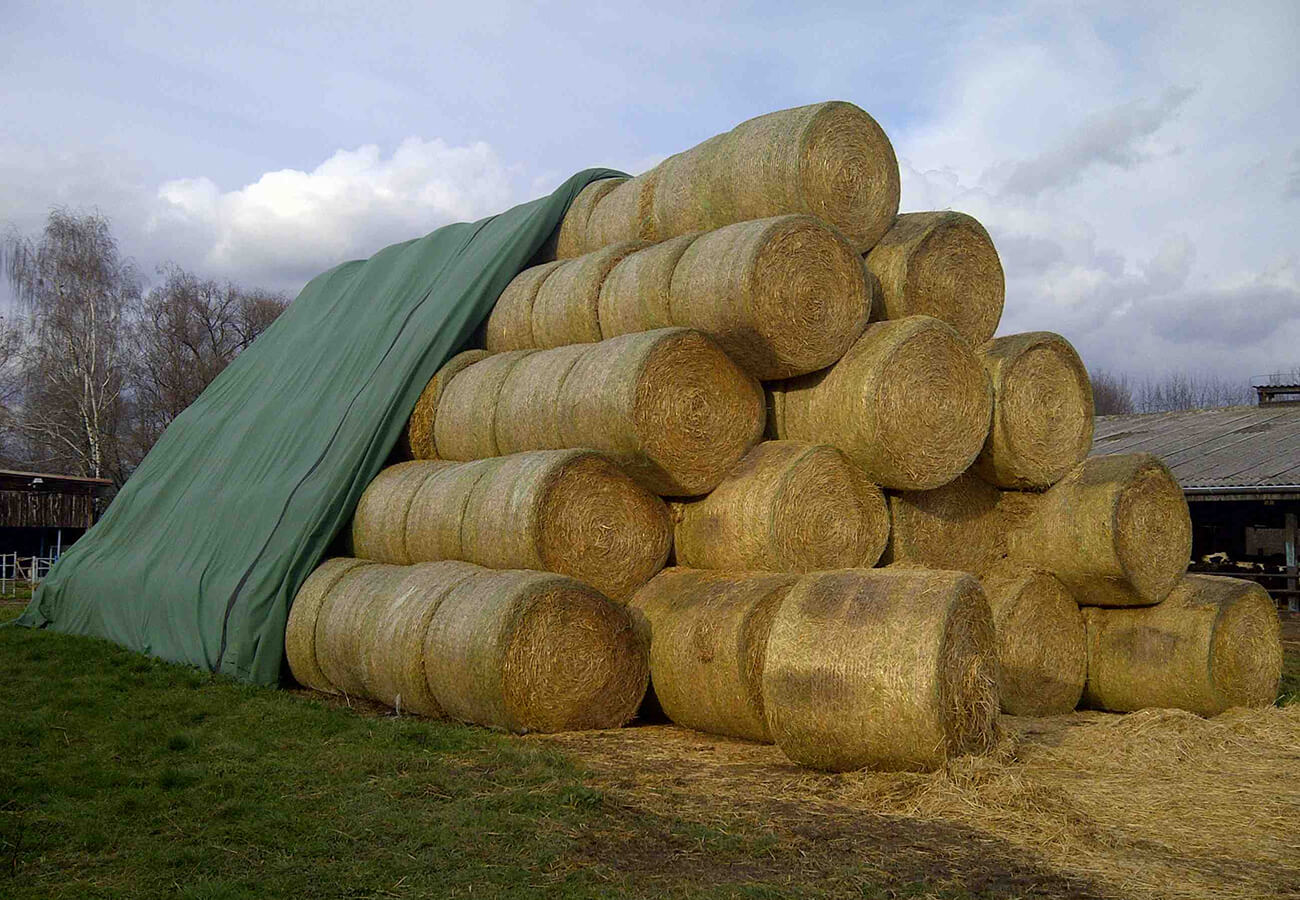 A Legal Lesson In Straw Purchases Repo Buzz