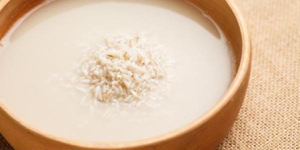 Is Rice Good for Dogs or Not? Find Out the Reasons