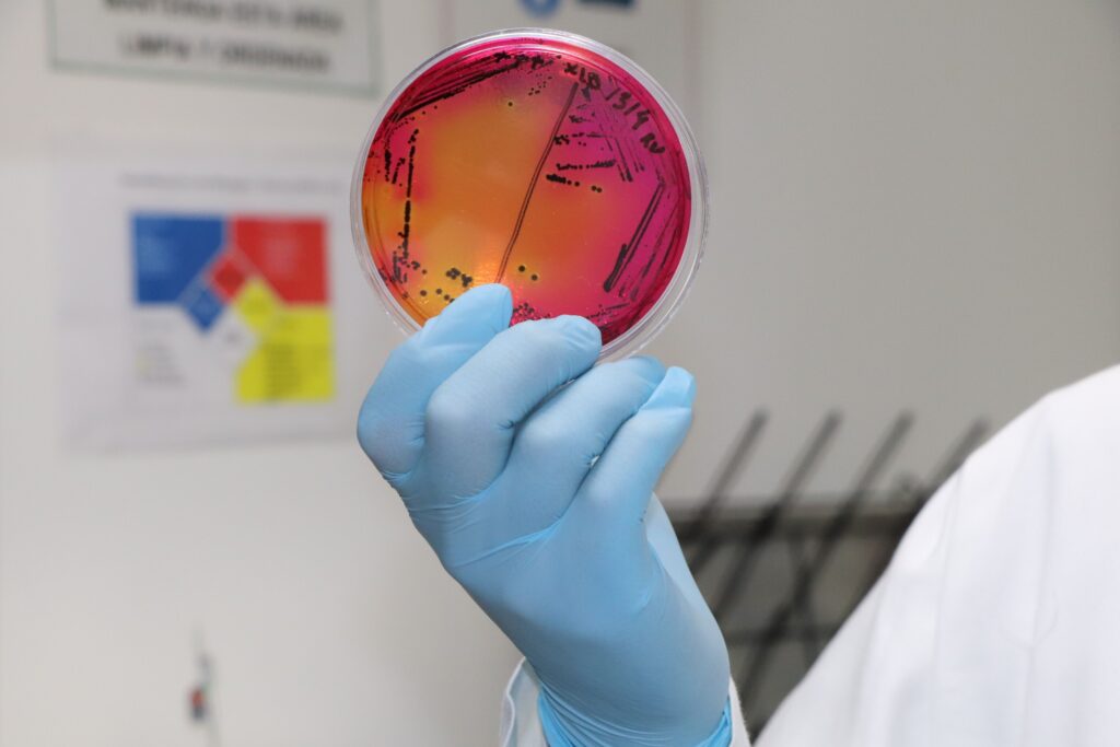 Llama Senasica a productores de berries fortalecer su inocuidad por