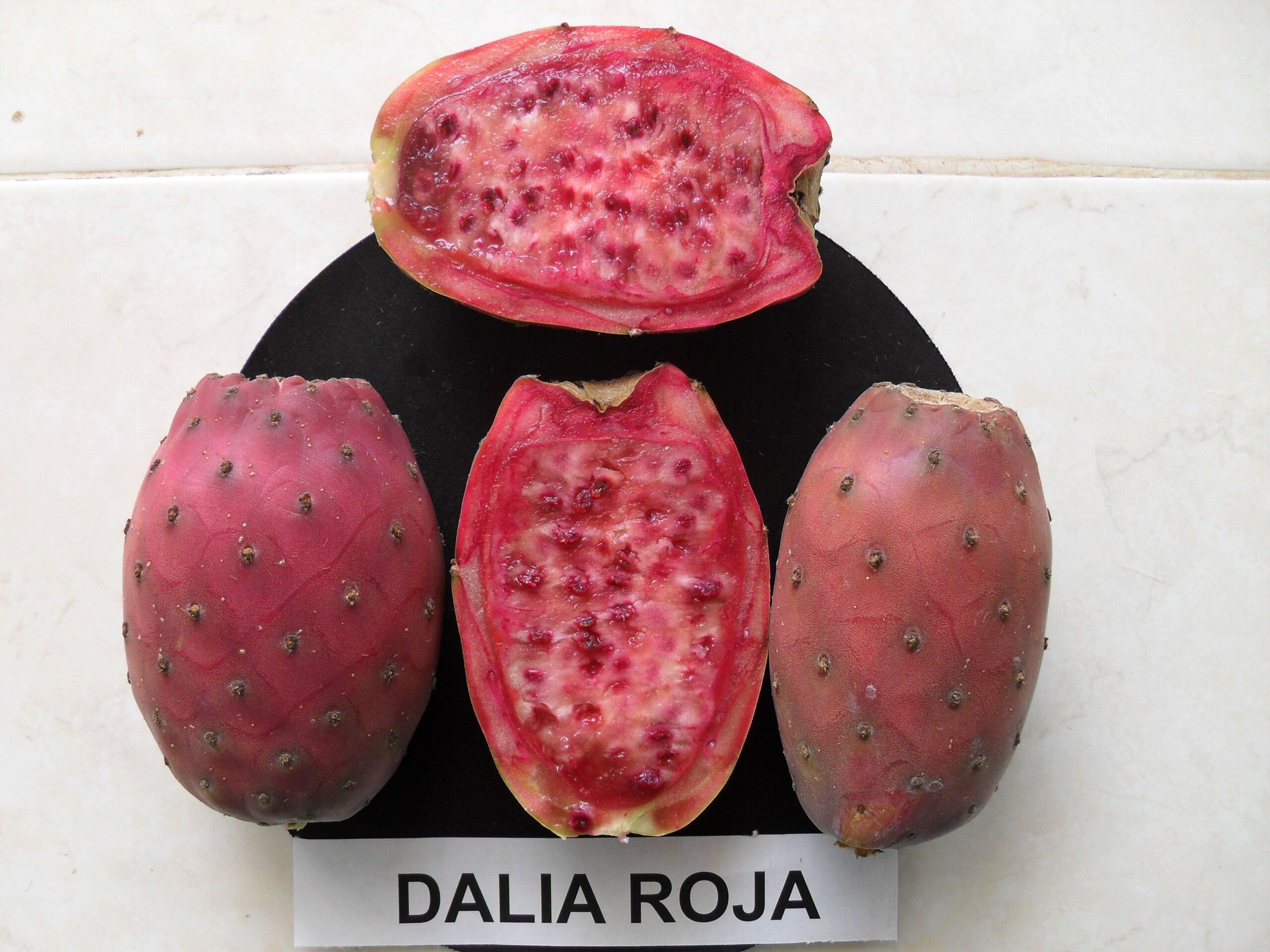 Descubren propiedades antioxidantes en la cáscara de la tuna roja/ Por