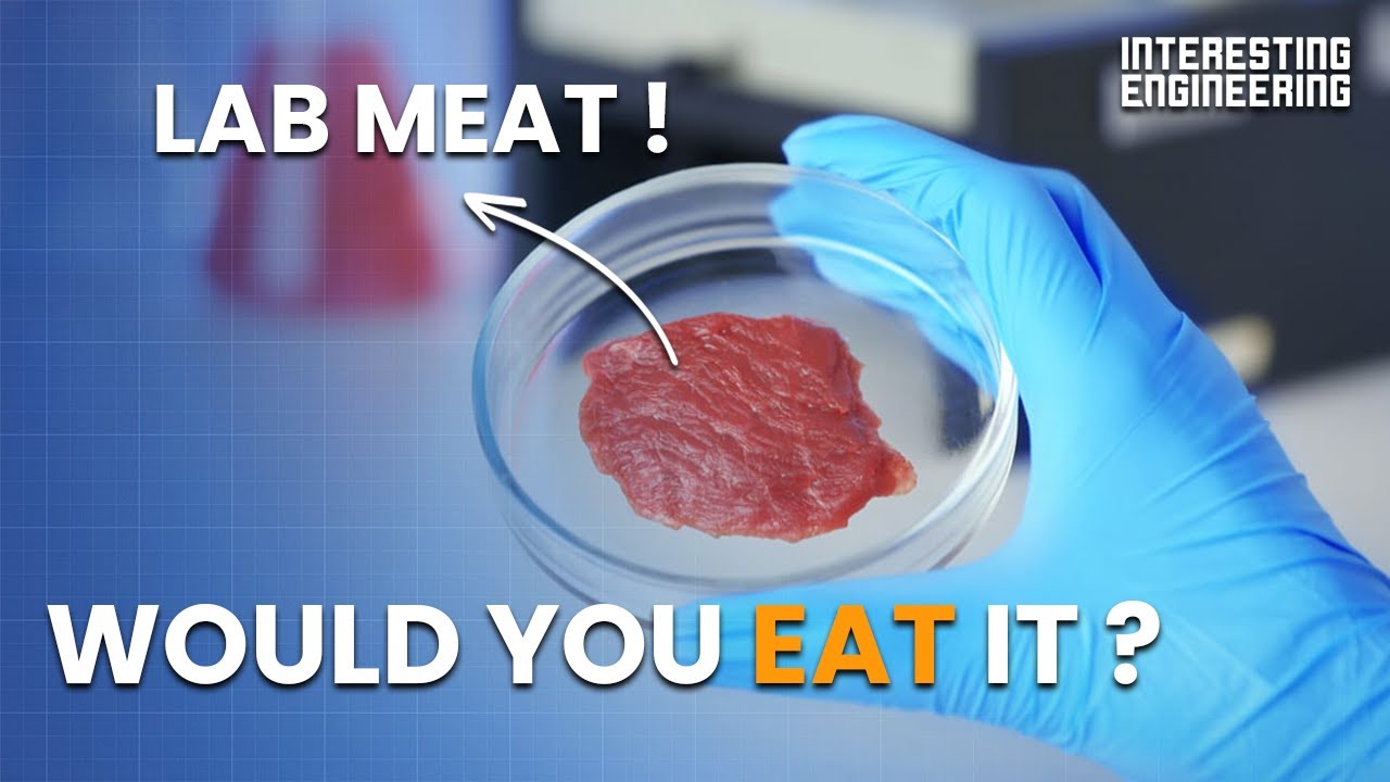 How Labgrown meat is made Reporte Ciencia UANL
