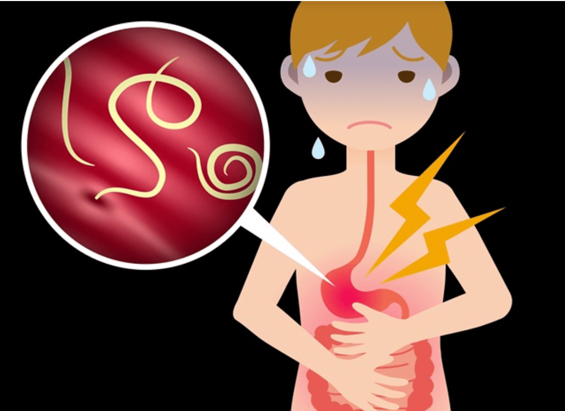 Meeting the global health challenge of worms that cause disease