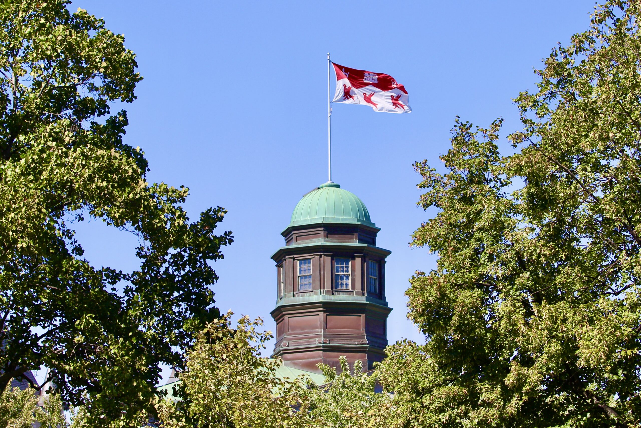 Provost Honours 43 professors with distinguished distinctions McGill