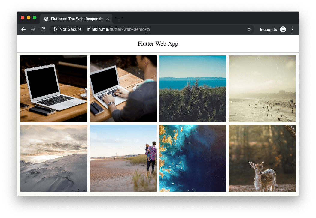 GitHub minikin/flutterwebdemo 🌍 Responsive web app powered by