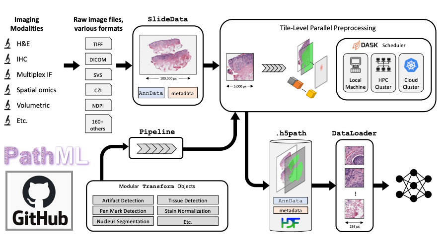 biomedicalimageprocessing · GitHub Topics · GitHub