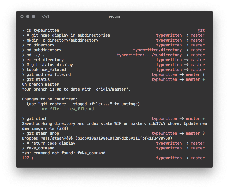GitHub reobin/typewritten A minimal, lightweight, informative zsh