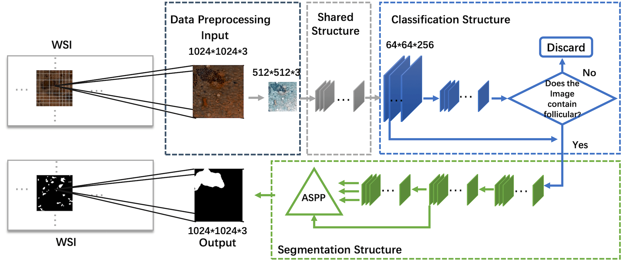 GitHub buptaicz/HybridModelEnablingHighlyEfficientFollicular