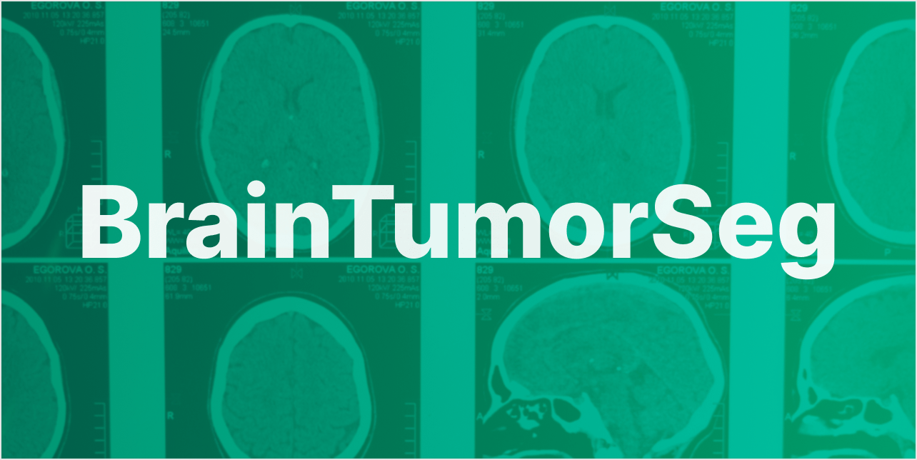 GitHub adtygan/BrainTumorSeg Capstone Project for Hewlett Packard