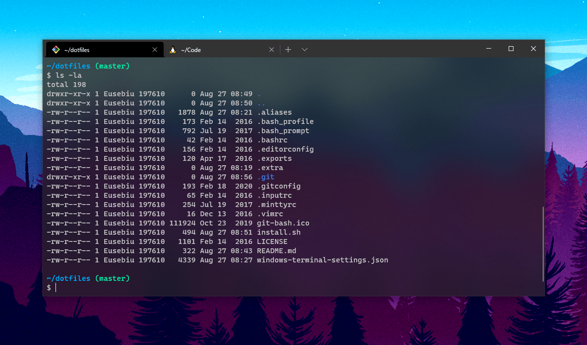 dotfiles/windowsterminalsettings.json at master · cretueusebiu
