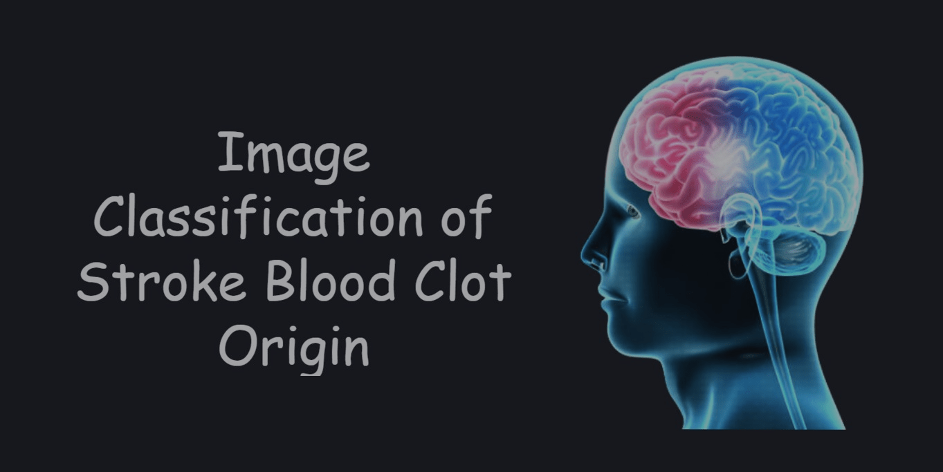 GitHub Priyansh42/StrokeBloodClotClassification This model
