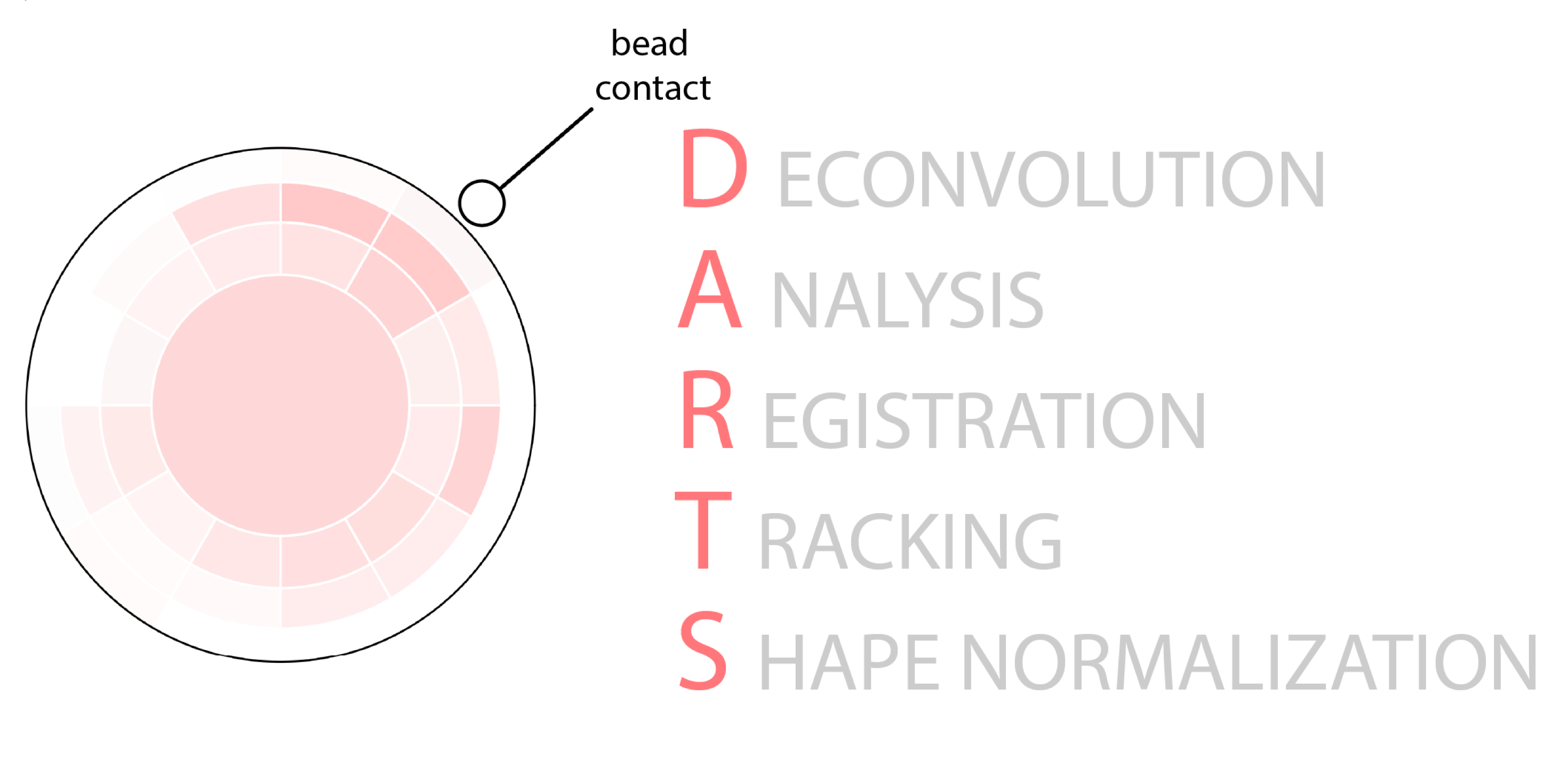 GitHub IPMIICNSUKE/DARTS A Ca2+ microdomain analysis pipeline for