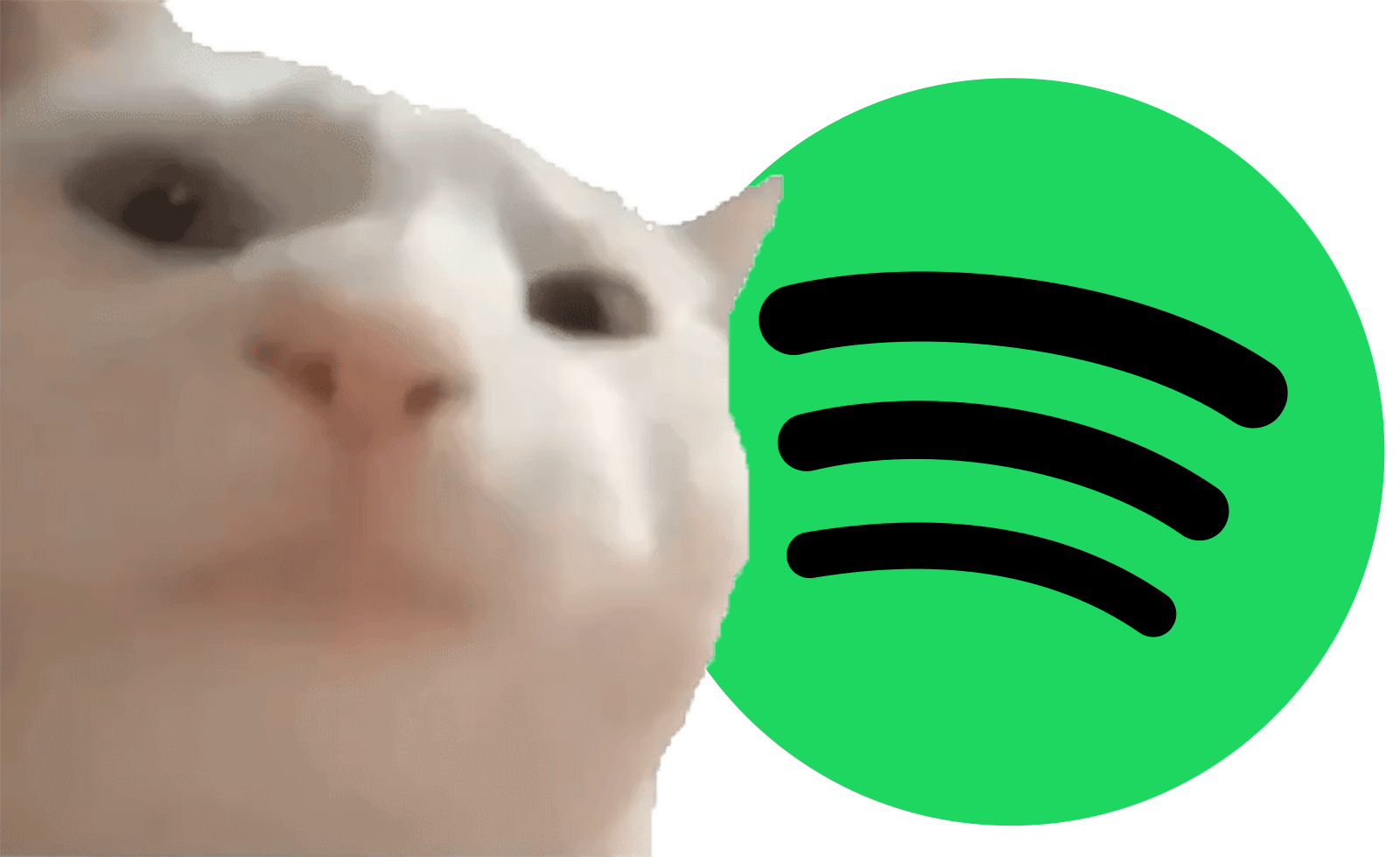 GitHub BlafKing/spicetifycatjamsynced A spicetify extension that