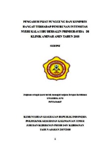 Pengaruh Pijat Punggung Dan Kompres Hangat Terhadap Penurunan Intensitas Nyeri Kala I Ibu Bersalin Primigravida Di Klinik Aminah Amin Tahun 2018 - Repository Poltekkes Kemenkes Kaltim