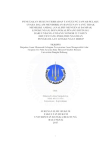 Penegakan Hukum Terhadap Tanggung Jawab Pelaku Usaha Dalam Mendirikan Bangunan Yang Tidak Memiliki Amdal (Analisis Mengenai Dampak Lingkungan) Di Pangkalpinang Ditinjau Dari Undang-Undang Nomor 32 Tahun 2009 Tentang Perlindungan Dan Pengelolaan Lingkungan