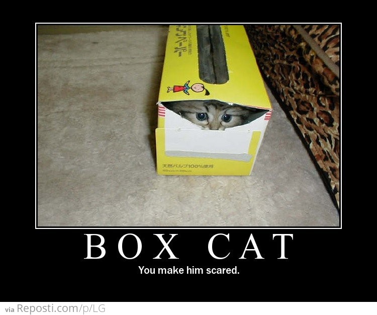 Angry Puppy / Reposti