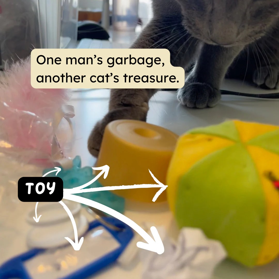 How Long Do Cat Toys Last? The Truth Revealed repounce