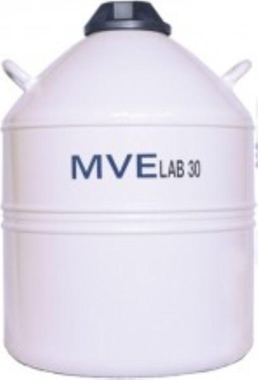 MVE LAB 30
