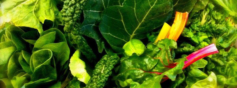 Fertility Food Facts Repromed