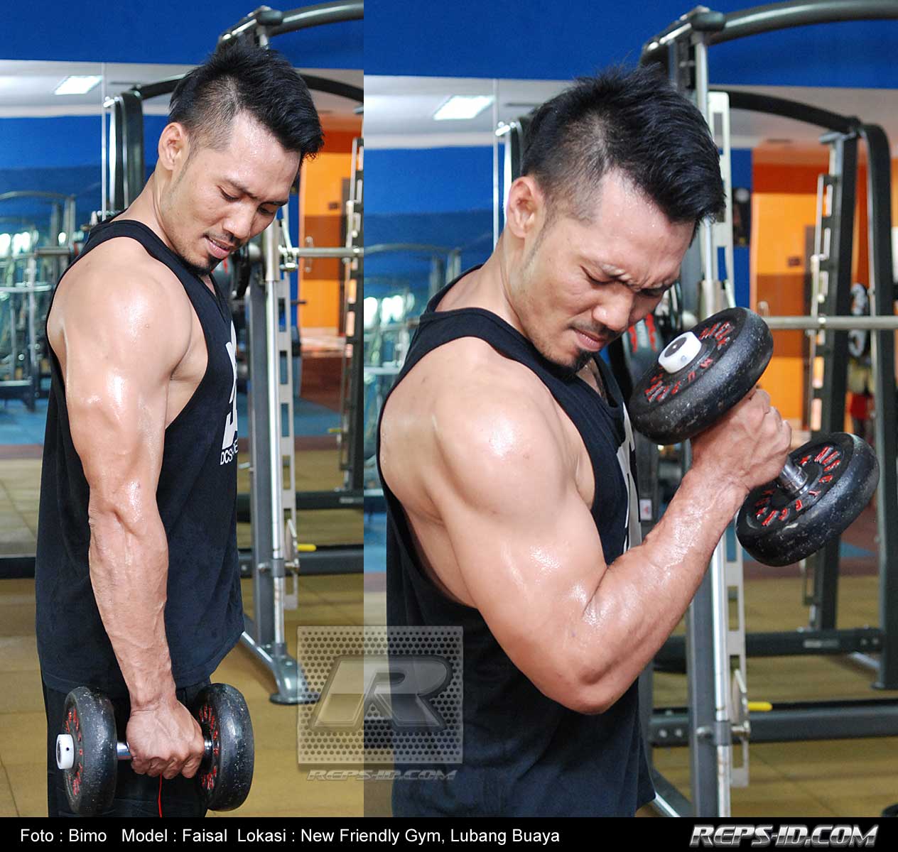 hammercurl Reps Indonesia Fitness & Healthy Lifestyle