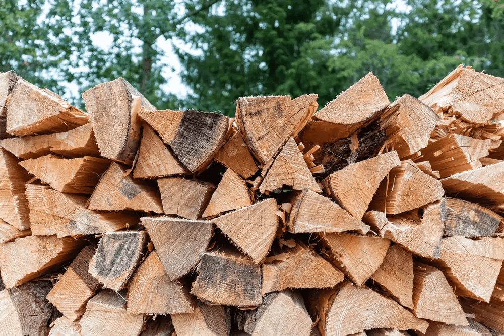 How Much Firewood Do I Need For Camping? Rep The Wild