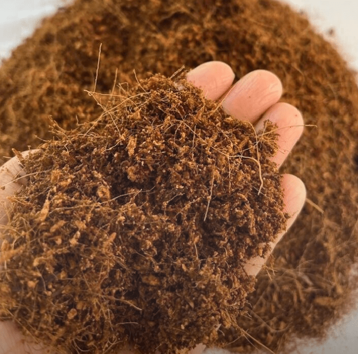 Best Bedding for Chickens & Hens Chicken Bedding UK & USA