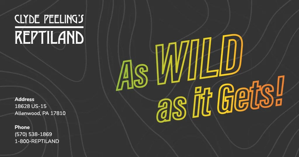 Clyde Peeling's Reptiland Stunning habitats, interactive exhibits