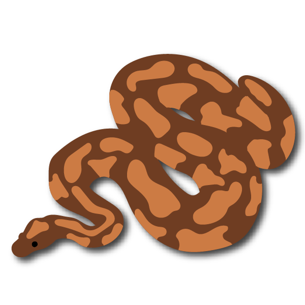 Reptile Buddy the best tools to take care of your animals