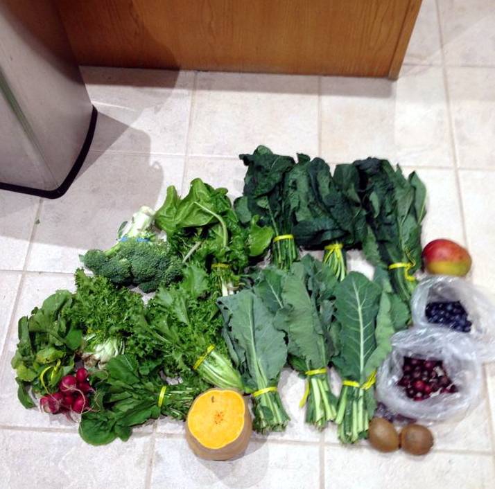 How to make iguana salad for juveniles Reptile Function